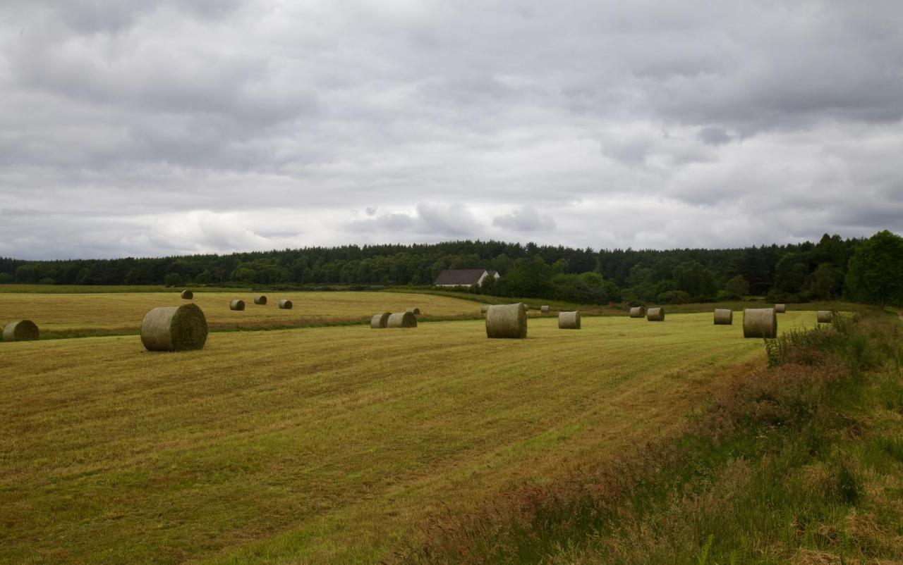 Clashmore Wood Дорнох Экстерьер фото