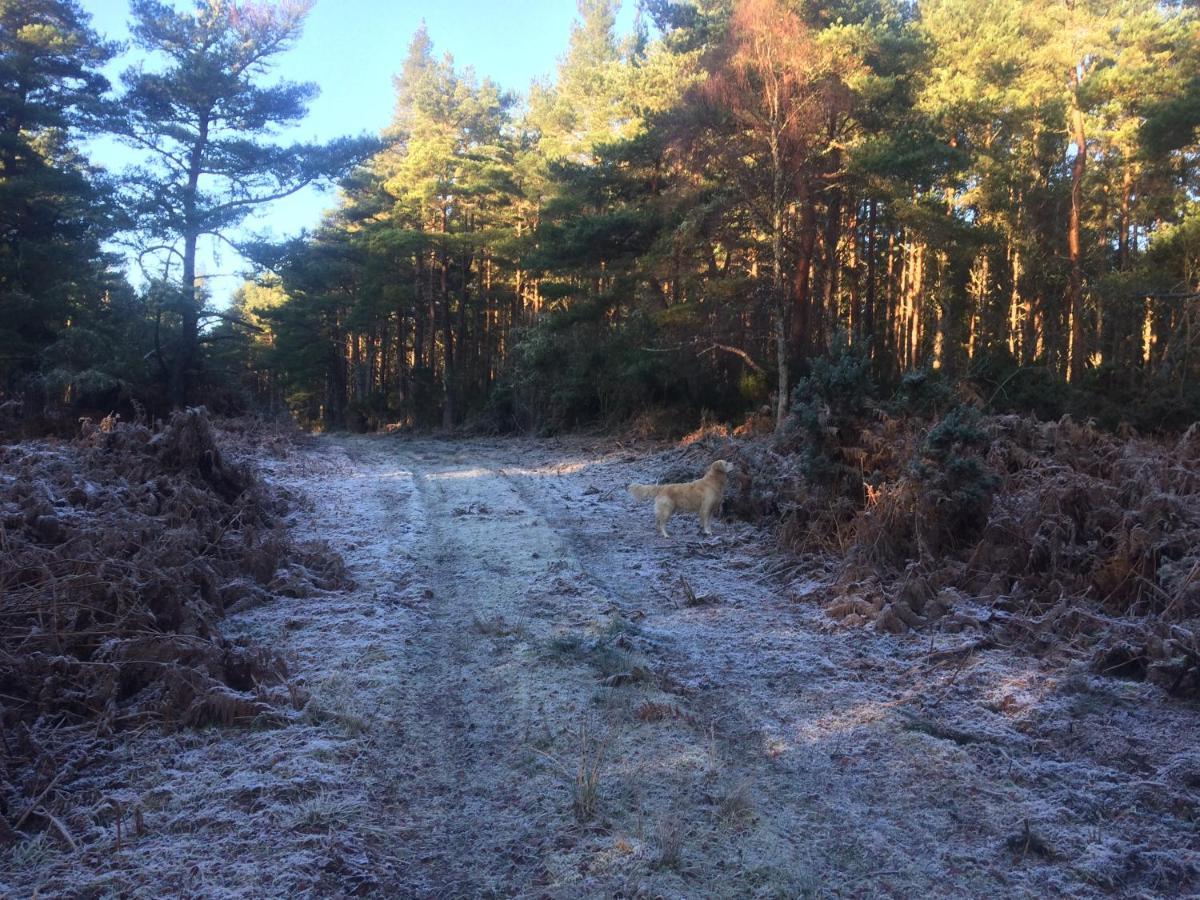 Clashmore Wood Дорнох Экстерьер фото